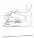 Fig. 06 - Stretch pal exercise set