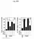 Fig. 07 - Insult induced immune dissonance