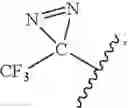 Fig. 06 - Ptb1b photoprobes