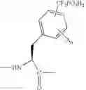 Fig. 07 - Ptb1b photoprobes