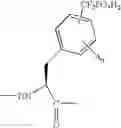 Fig. 09 - Ptb1b photoprobes