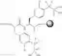 Fig. 28 - Ptb1b photoprobes