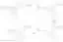 Fig. 47 - Ptb1b photoprobes