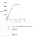 Fig. 07 - Triple polypeptide complexes