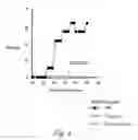 Fig. 08 - Triple polypeptide complexes