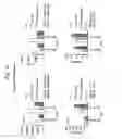 Fig. 18 - Triple polypeptide complexes