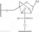 Fig. 07 - Modulation of survivin expression