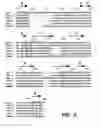 Fig. 06 - Methods for making Apo-2 ligand using divalent metal ions