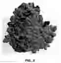 Fig. 08 - Methods for making Apo-2 ligand using divalent metal ions