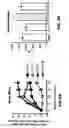 Fig. 06 - Method of reducing the risk of bone fracture