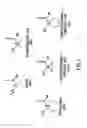 Fig. 02 - Conformationally constrained parathyroid hormones with alpha-helix stabilizers