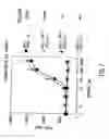 Fig. 09 - Conformationally constrained parathyroid hormones with alpha-helix stabilizers