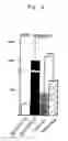 Fig. 04 - Immunopotentiator and method for enhancing immunoactivity using the same