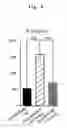 Fig. 05 - Immunopotentiator and method for enhancing immunoactivity using the same