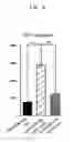 Fig. 07 - Immunopotentiator and method for enhancing immunoactivity using the same