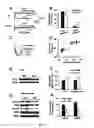 Fig. 07 - Method of treating fear