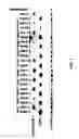 Fig. 04 - Method of treating neurodegenerative disease