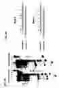 Fig. 10 - Method of treating neurodegenerative disease