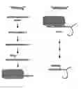 Fig. 02 - Compositions and methods for treatment of disease with acetylated disaccharides