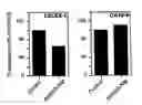Fig. 03 - Compositions and methods for treatment of disease with acetylated disaccharides