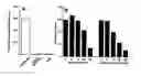 Fig. 16 - Compositions and methods for treatment of disease with acetylated disaccharides