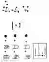 Fig. 02 - Composition for blocking hiv binding to dendritic cells and methods of use thereof