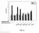 Fig. 03 - Phosphonate compounds