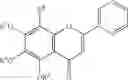 Fig. 12 - Compounds and methods to increase anti-P-glycoprotein activity of baicalein by alkylation on the A ring