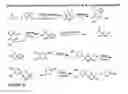 Fig. 05 - Selective androgen receptor modulators for treating muscle wasting