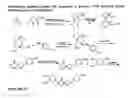 Fig. 06 - Selective androgen receptor modulators for treating muscle wasting