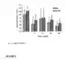 Fig. 13 - Selective androgen receptor modulators for treating muscle wasting