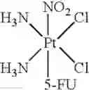 Fig. 16 - Platinum complexes and methods for inhibiting tumor cell proliferation