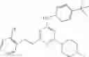 Fig. 30 - Substituted pyridin-2-ylamine analogues