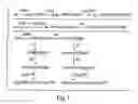 Fig. 02 - Erastin analogs and uses thereof