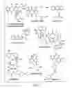 Fig. 03 - Erastin analogs and uses thereof