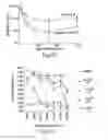 Fig. 07 - Erastin analogs and uses thereof