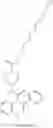 Fig. 125 - Erastin analogs and uses thereof