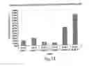 Fig. 19 - Erastin analogs and uses thereof