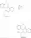 Fig. 204 - Erastin analogs and uses thereof