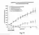 Fig. 28 - Erastin analogs and uses thereof