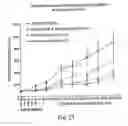 Fig. 30 - Erastin analogs and uses thereof