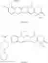 Fig. 03 - Di-ester prodrugs of camptothecin, process for their preparation and their therapeutical applications