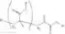 Fig. 21 - Processes for hydrazine addition to acrylic macromonomers and products therefrom