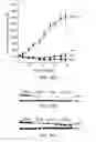 Fig. 15 - Substituted benzimidazoles and methods of their use