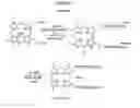 Fig. 51 - Conformationally restricted polyamine analogs as disease therapies