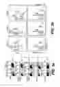 Fig. 06 - Pharmaceutical composition useful for treating chronic myeloid leukemia