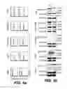 Fig. 08 - Pharmaceutical composition useful for treating chronic myeloid leukemia