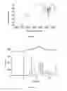 Fig. 03 - Amorphous tamsulosin hydrochloride
