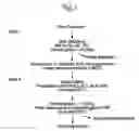 Fig. 02 - Purification of peptides from colostrum