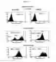 Fig. 30 - Optimized proteins that target Ep-CAM